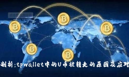 深入剖析：tpwallet中的U币被转走的原因及应对措施