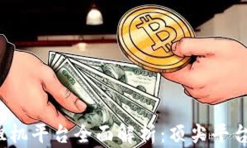 
2023年区块链租机平台全面解析：顶尖平台推荐与使用指南