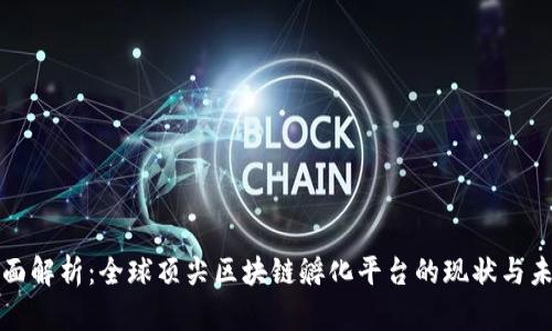 全面解析：全球顶尖区块链孵化平台的现状与未来