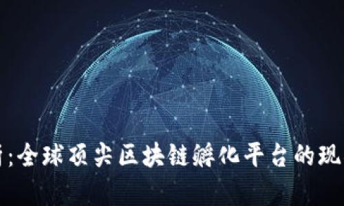 全面解析：全球顶尖区块链孵化平台的现状与未来