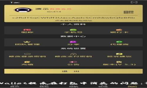 解决TPWallet提币在打包中消失的问题：详尽指南