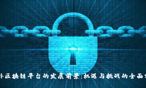 国外区块链平台的发展前景：机遇与挑战的全面分析