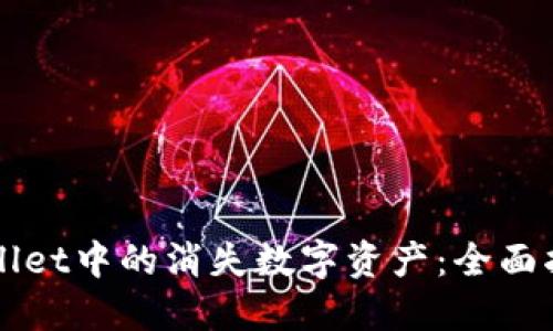 如何找回TPWallet中的消失数字资产：全面指南与解决方案