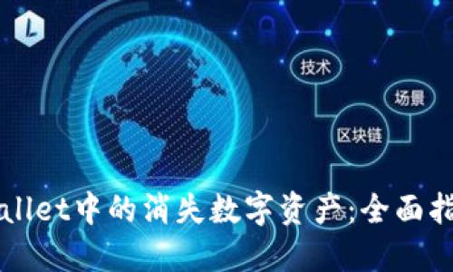 如何找回TPWallet中的消失数字资产：全面指南与解决方案