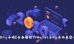 TPWallet支持Pig币吗？全面解析TPWallet与