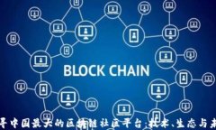 探寻中国最大的区块链社区平台：技术