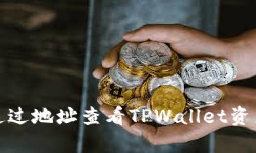 如何通过地址查看TPWallet资产信息