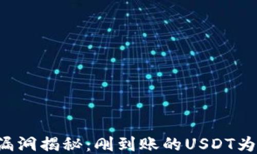 
TPWallet安全漏洞揭秘：刚到账的USDT为何瞬间被转走？