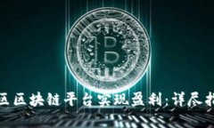 : 如何通过社区区块链平台实现盈利：