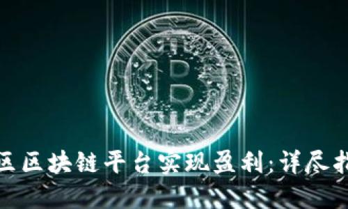 : 如何通过社区区块链平台实现盈利：详尽指南与最佳实践