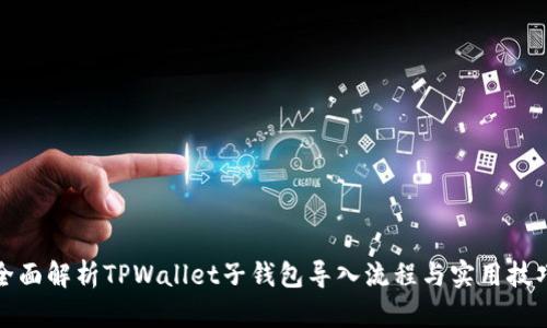 全面解析TPWallet子钱包导入流程与实用技巧