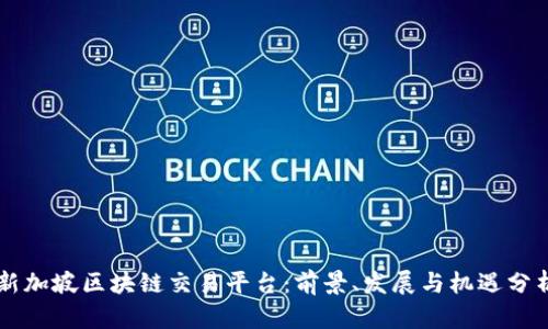 新加坡区块链交易平台：前景、发展与机遇分析