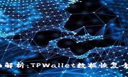  全面解析：TPWallet数据恢复全攻略